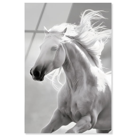 Pure Snow Rider Acrylic Print Western Framed Art by Notoriart, Ready to Hang, 10 x 15