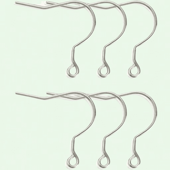 Pure Titanium Earring Fish Hooks Set - 6pcs, Hypoallergenic Earring Hooks for Sensitive Ears