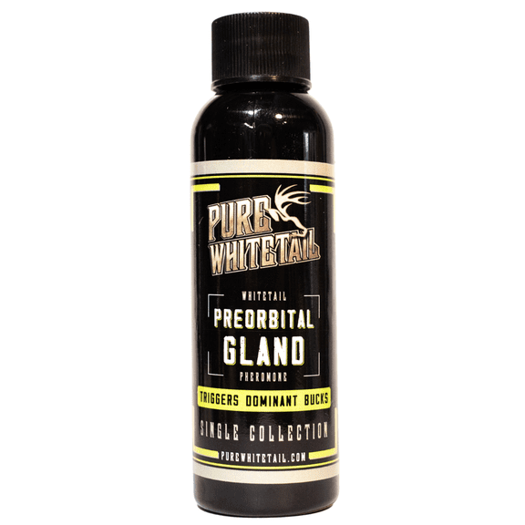 Pure Whitetail Preorbital Gland Scent, Deer Forehead Gland Scent, Natural Deer Scent, Mock Scrape Scent Makes a Licking Stick for Deer, 2 oz Bottle