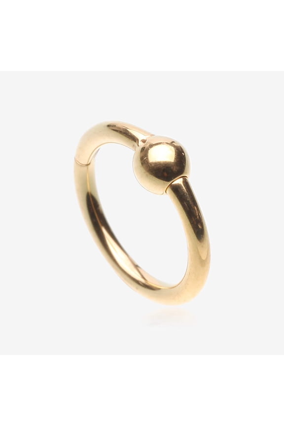 Pure24K Implant Grade Titanium Basic CBR Style Seamless Clicker Hoop Ring