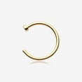 thumbnail image 1 of Pure24K Implant Grade Titanium Basic Nose Hoop Ring, 1 of 5