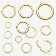 thumbnail image 1 of Pure24K Implant Grade Titanium Basic Seamless Hinged Clicker Hoop Ring, 1 of 5