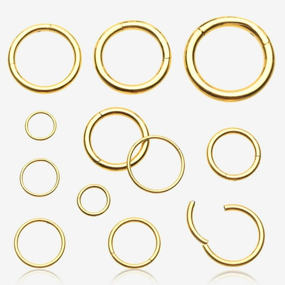 Pure24K Implant Grade Titanium Basic Seamless Hinged Clicker Hoop Ring