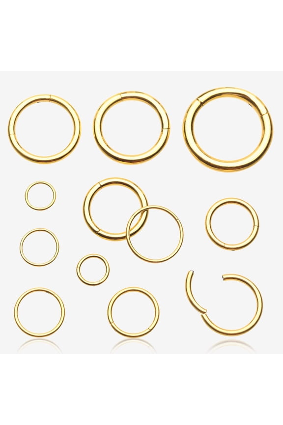 Pure24K Implant Grade Titanium Basic Seamless Hinged Clicker Hoop Ring