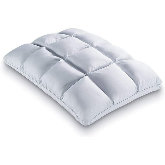 PureCare Cooling SoftCell Chill Memory Foam Pillow Featuring Reversible & Adjustable Comfort, Standard (PCFRIOP602)