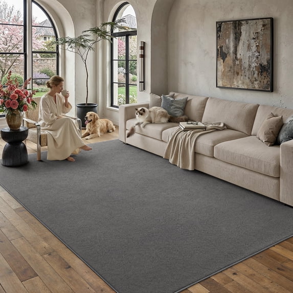 PureCozy 5'x8' Solid Area Rugs for Living Room Bedroom Contemporary Modern Soft Fluffy Non-Slip Washable Dorm Office Dining Room Dark Gray Rugs Carpets, Dark Gray