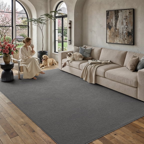 PureCozy 5'x8' Solid Area Rugs for Living Room Bedroom Contemporary Modern Soft Fluffy Non-Slip Washable Dorm Office Dining Room Dark Gray Rugs Carpets, Dark Gray