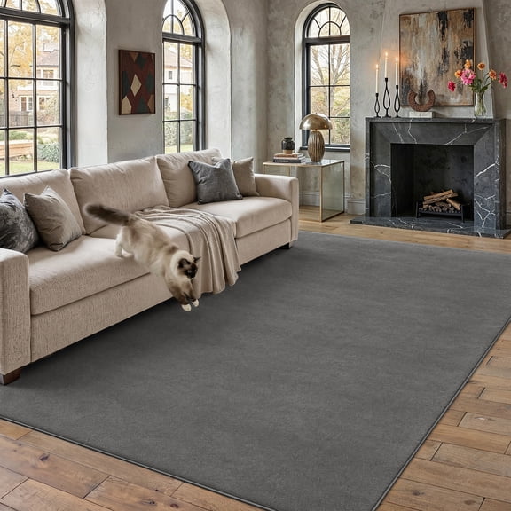 PureCozy 8'x10' Large Solid Area Rugs for Living Room Bedroom Dining Room Farmhouse Office Modern Soft Fluffy Non-Slip Washable Contemporary Dark Gray Rugs Carpets, Dark Gray