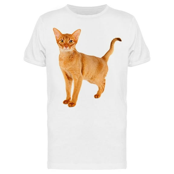 Purebred Abyssinian Young Cat T-Shirt Men -Image by Shutterstock Men T-Shirt, Male x-Large