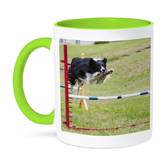 3dRose, Purebred Border Collie dog jumping - NA02 PWO0083 - PiperAnne Worcester, 11oz Two-Tone Green Mug