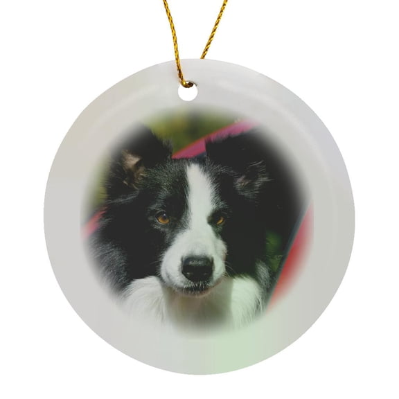 3drose, Purebred Border Collie Dog, Red Truck Window - Na02 Pwo0006 - Piperanne Worcester, Circle Porcelain Ornament