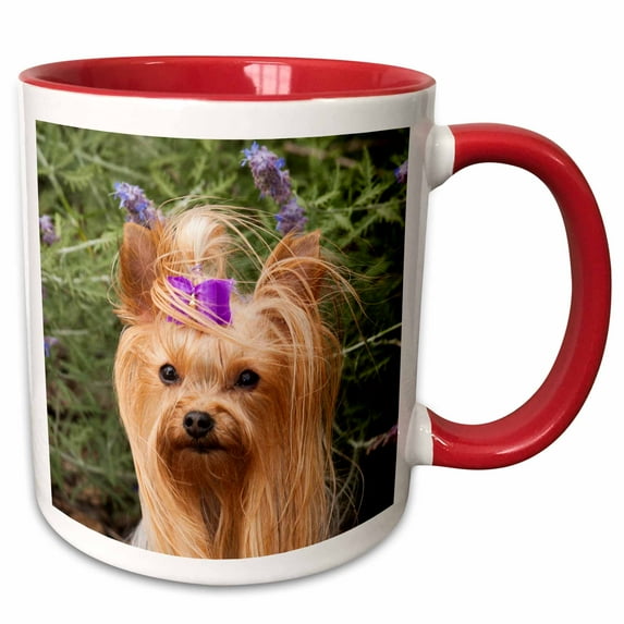 3drose, Purebred Yorkshire Terrier Dog, Purple Bow - Na02 Pwo0011 - Piperanne Worcester, 15oz Two-tone Red Mug
