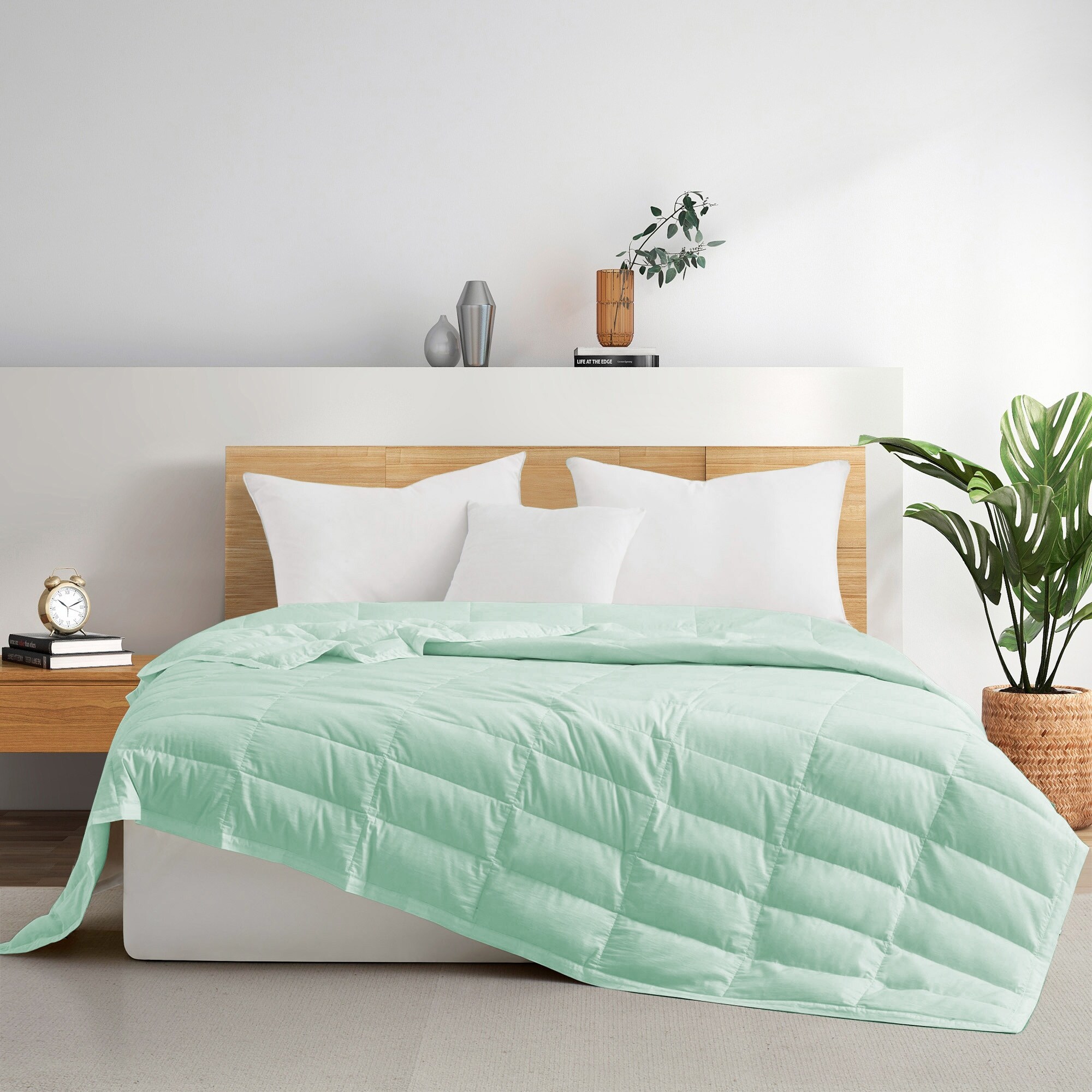 Puredown Ultra Lightweight Tencel & Cotton White Down Blanket Oversize