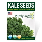 Purely Organic 600 Vates Blue Scotch Curled Kale Plant Seeds, Non-GMO