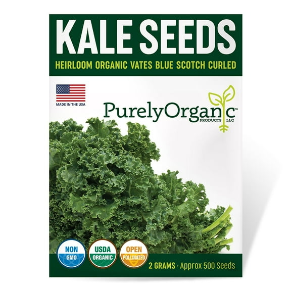 Purely Organic 600 Vates Blue Scotch Curled Kale Plant Seeds, Non-GMO