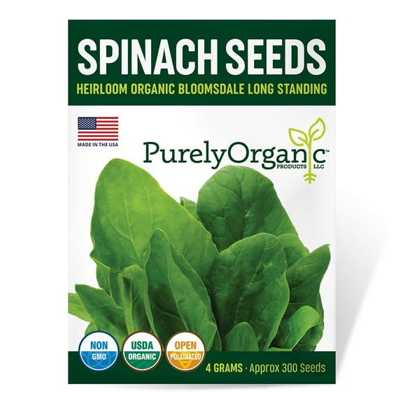 Purely Organic Bloomsdale Long Standing Spinach Seeds - USDA Organic, Non-GMO, Open Pollinated, Heirloom, USA Origin, Vegetable Seeds - 4 Grams