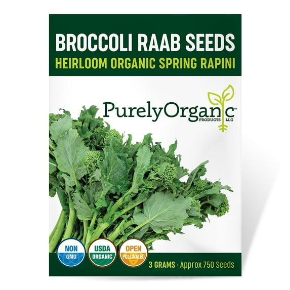 Purely Organic Spring Rapini Broccoli Raab Seeds - USDA Organic, Non-GMO, Open Pollinated, Heirloom, USA Origin, Vegetable Seeds - 3 Grams