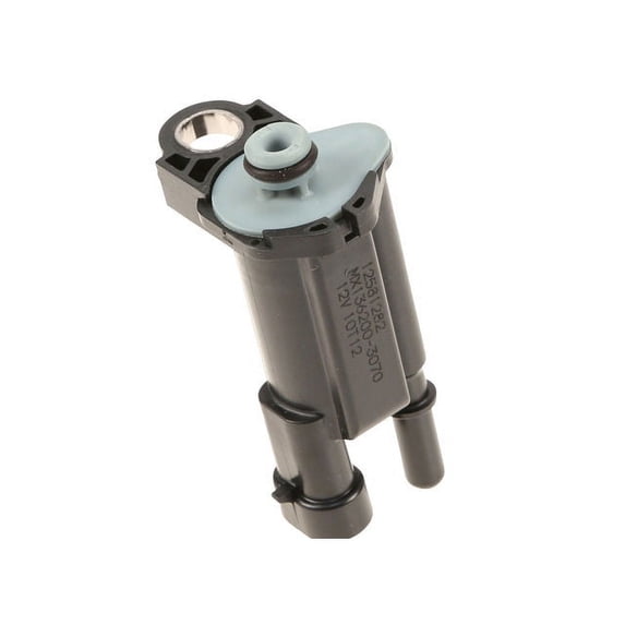 Purge Valve - Compatible with 2004 - 2007 Chevy Express 1500 5.3L V8 2005 2006