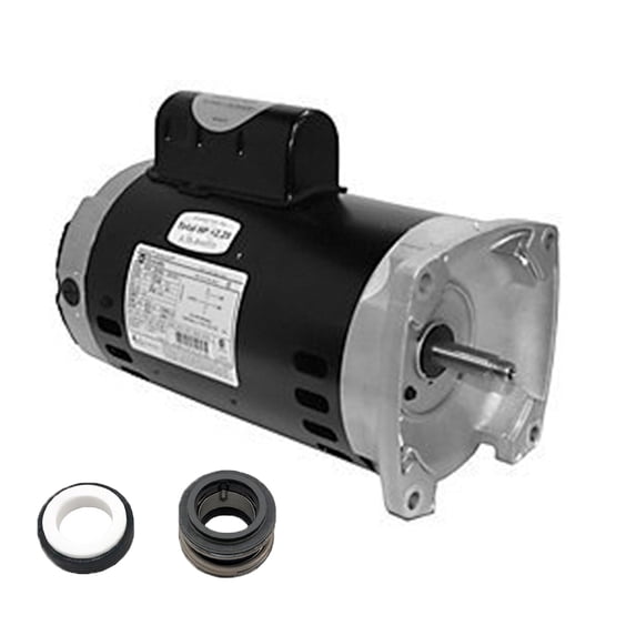 Puri Tech Motor and Seal Replacement Kit for AO Smith SQ1152 and PS-201 Seal Kit