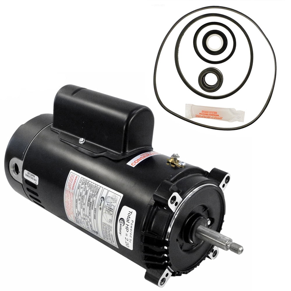 Puri Tech Black 2HP Pool Motor Replacement Kit with Seal Kit