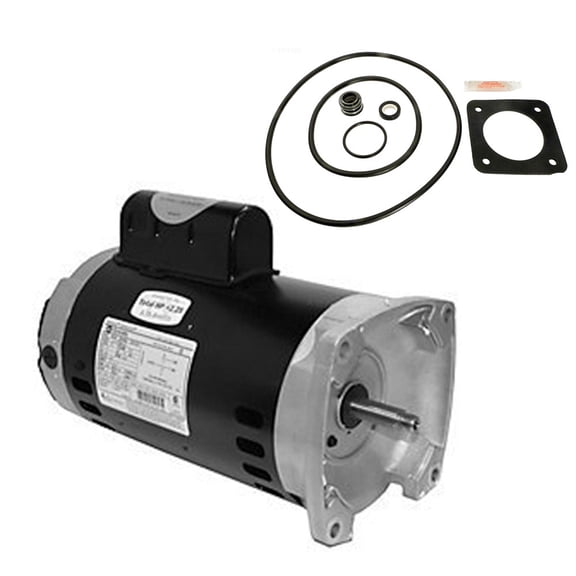 Puri Tech Replacement Kit for Sta-Rite Max-E-Glas 2HP PEA5G-126L AO Smith Century USQ1202 w/ GO-KIT-54