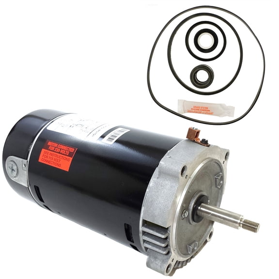 Puri Tech Replacement Motor Kit for Hayward Max-Flo .75HP SP2800X7 AO Smith UST1072 Motor w/ GO-KIT-1