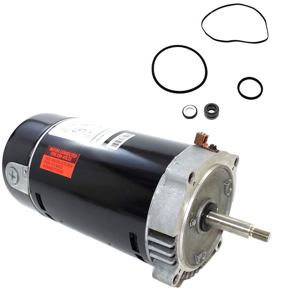 Puri Tech Black 1 HP Round Flange Pool Motor Kit