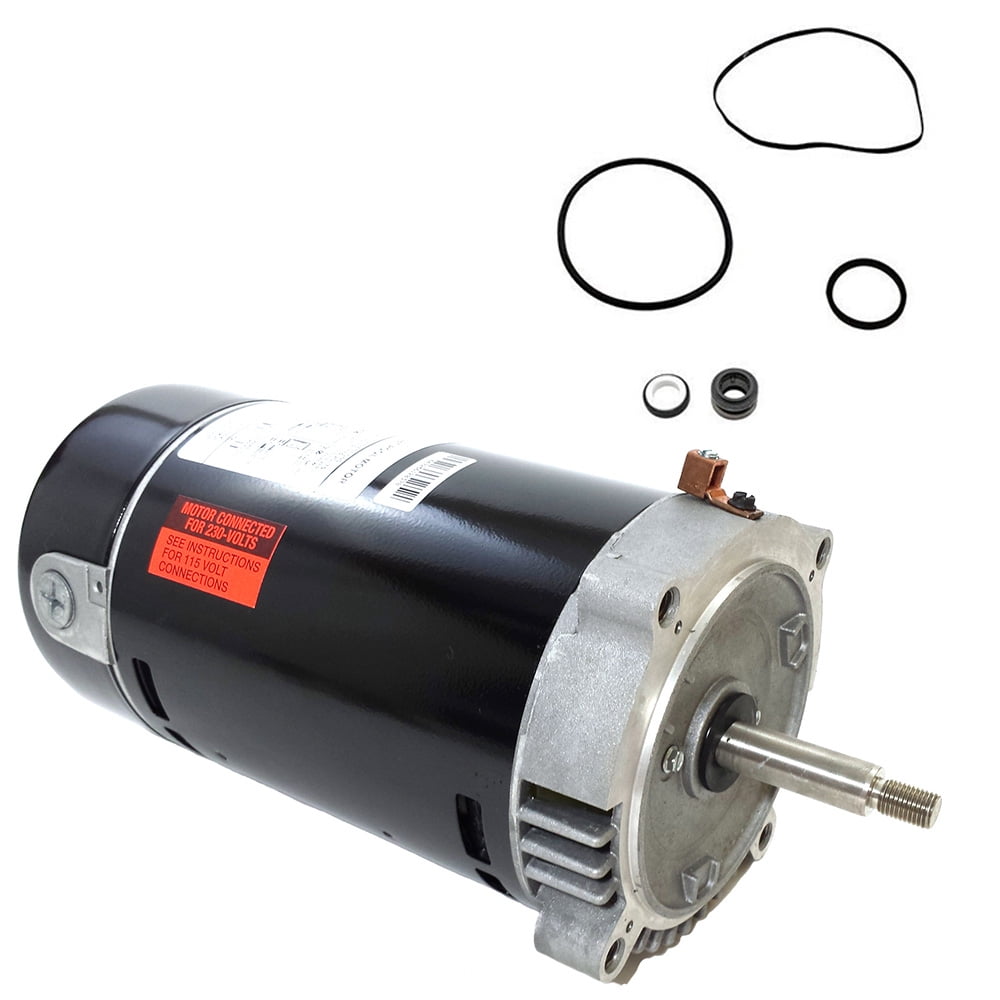 Puri Tech Black 1 HP Round Flange Pool Motor Kit