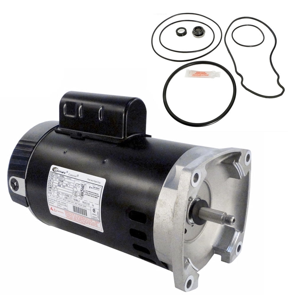Puri Tech Replacement Motor Kit for Pentair Whisperflo 2.5HP, Energy ...