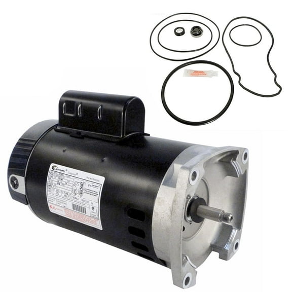 Puri Tech Replacement Motor Kit for Pentair Whisperflo 2.5HP, Energy Efficient, 1 Pack
