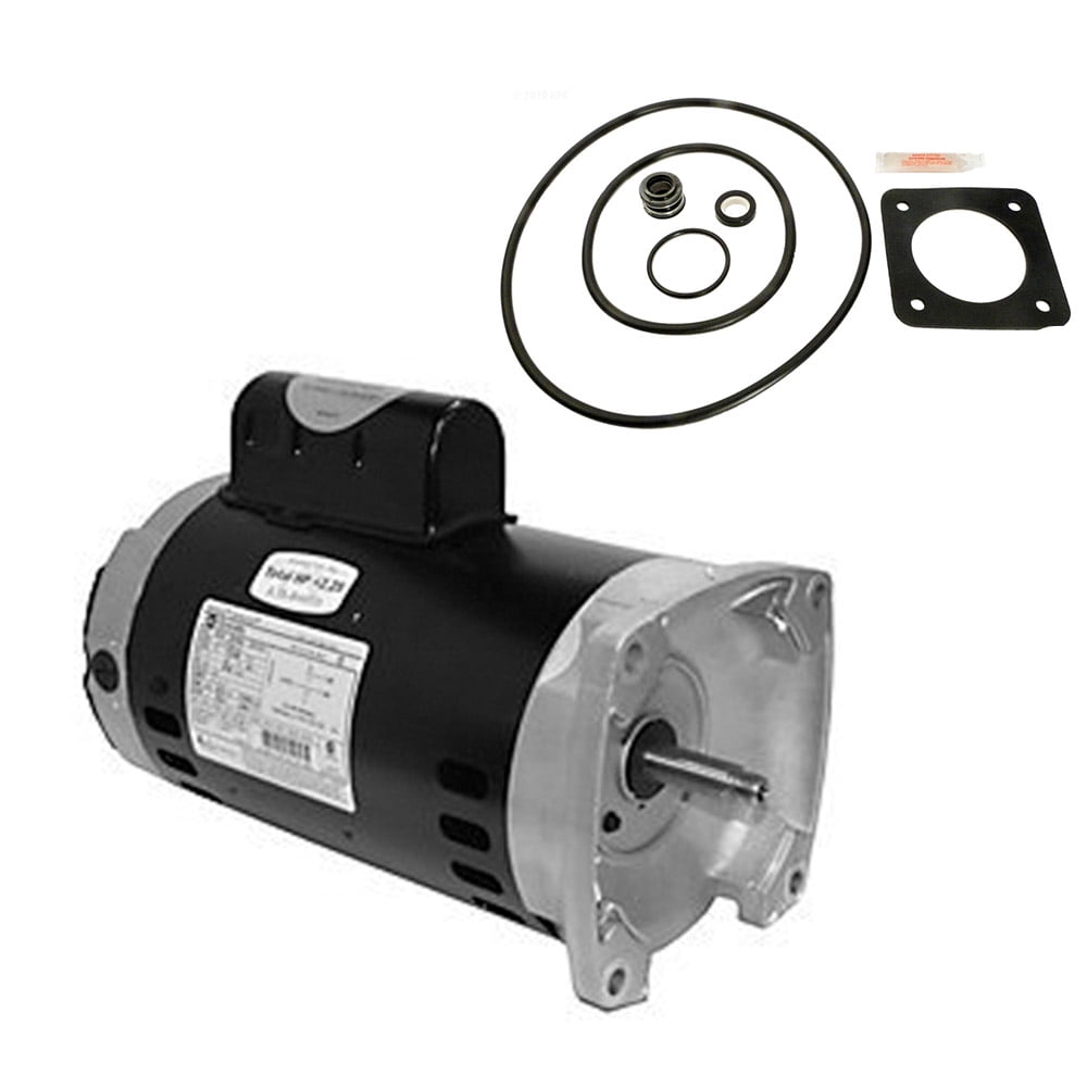 Puri Tech Replacement Motor Kit for Sta-Rite Max-E-Glas 2HP PE5G-122L ...