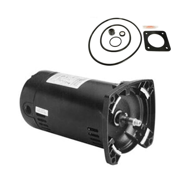 Puri Tech Sta-Rite Dura-Glas .75HP P2RA5D-180L Replacement Motor Kit AO Smith USQ1072 w/GO-KIT-6