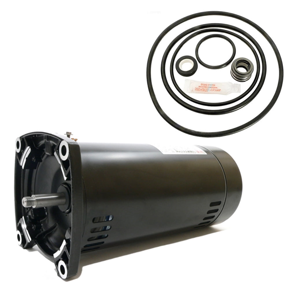 Puri Tech Sta-Rite Dyna-Max 1.5HP MPEA6F-148L Replacement Motor Kit AO ...