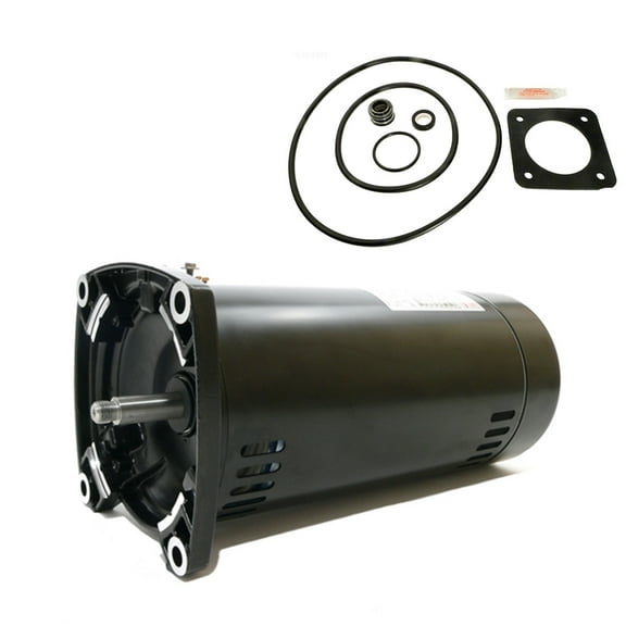 Puri Tech Sta-Rite Max-E-Glas 1HP PEA5E-181L Replacement Motor Kit AO Smith USQ1102 w/GO-KIT-6