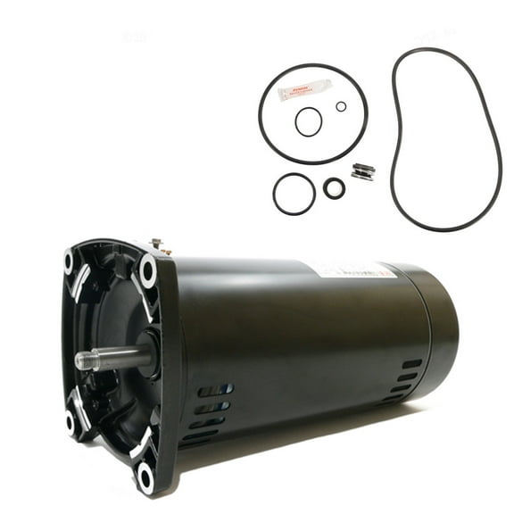 Puri Tech Sta-Rite Max-E-Pro 1HP P6RA6E-205L Replace Motor Kit AO Smith USQ1102 Motor w/ GO-Kit-79