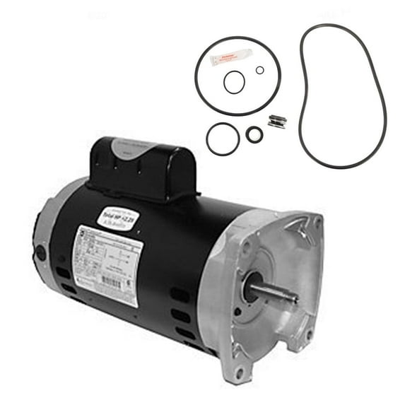 Puri Tech Sta-Rite Max-E-Pro 2HP P6R6G-208L Replacement Motor Kit AO Smith SQ1202 with GO-KIT-79
