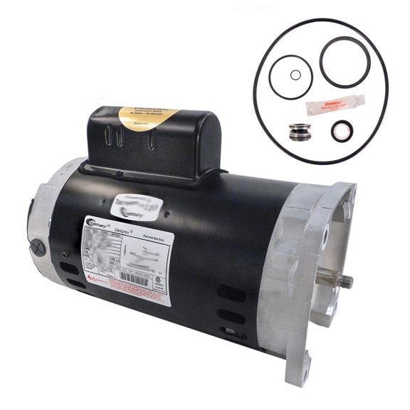 Puri Tech Sta-Rite SuperMax 2HP PHK2RA6G-104L Replacement Motor Kit AO Smith B855