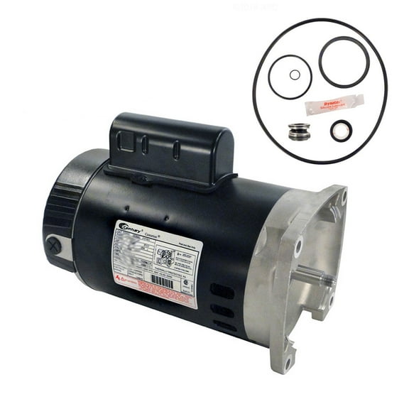 Puri Tech Sta-Rite SuperMax .75HP PHK2RA6D-101L Replacement Motor Kit AO Smith B2852 w/GO-KIT-78