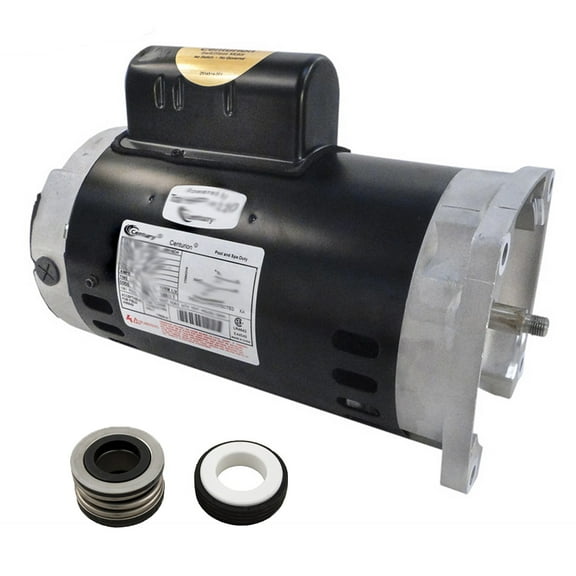 Puri Tech Swimming Pool Pump Motor & Seal Replacement Kit 2 HP Century B855 Motor and PS-200 Seal