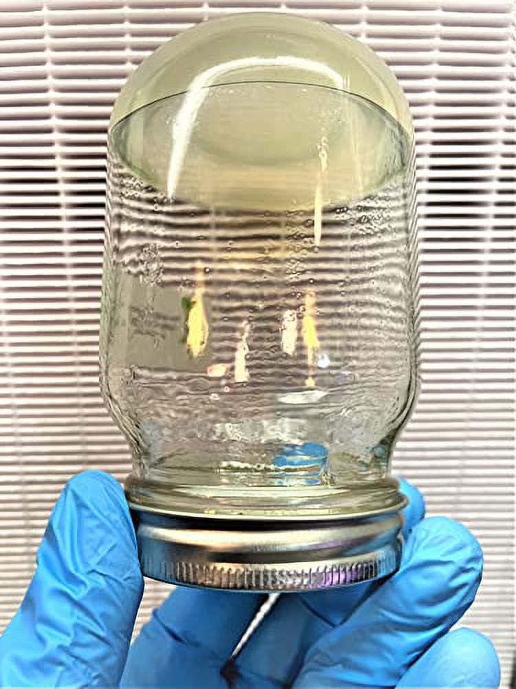 Purified Agar Plant Tissue Culture Grade 100 Grams