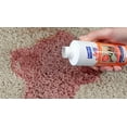 thumbnail image 1 of Purifize Spot and Stain Remover, 1 of 4
