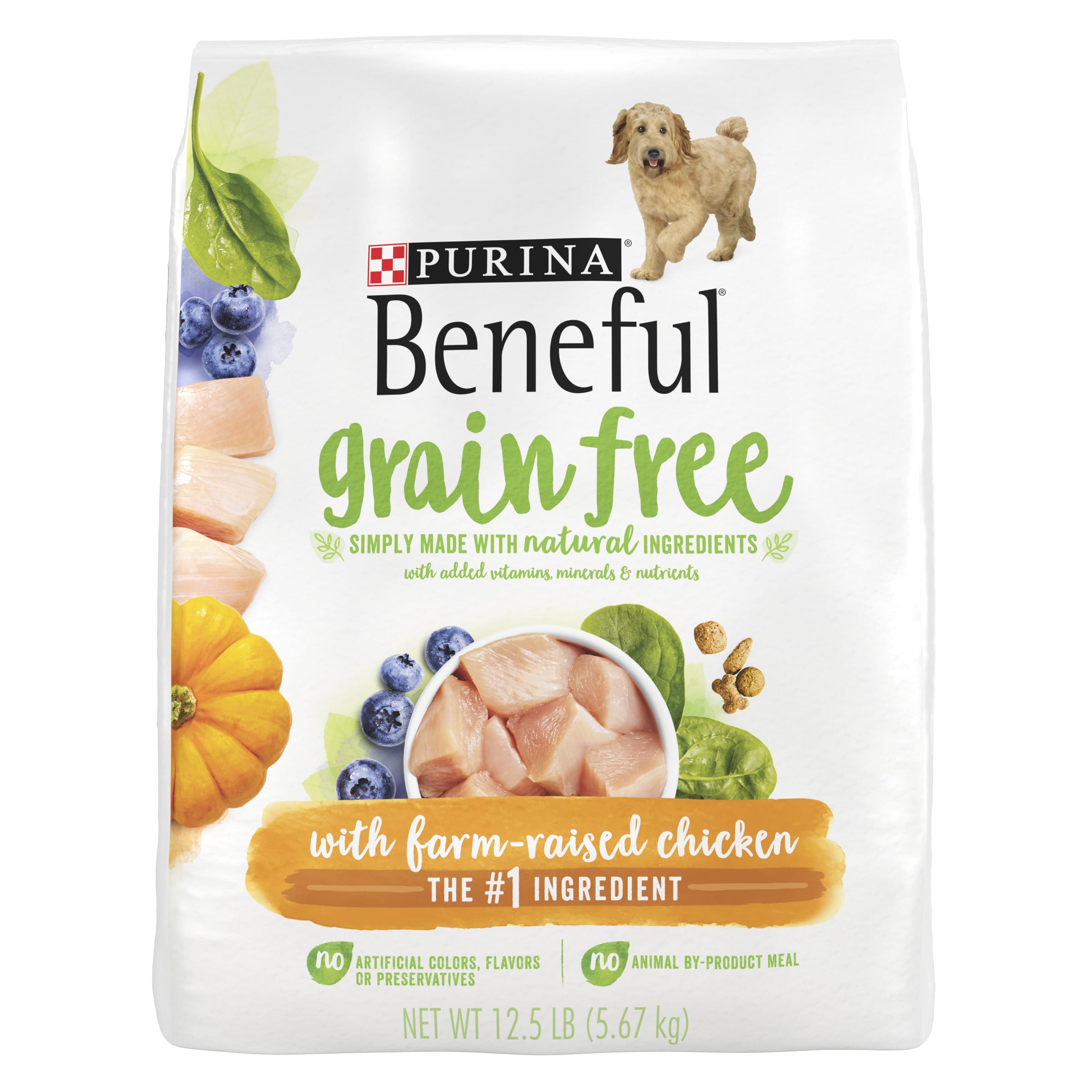 What Human Foods are Bad for Dogs