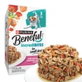 thumbnail image 1 of Purina Beneful Small Breed Wet Dog Food in Gravy, IncrediBites with Real Salmon, Rice & Vegetables, 3 oz Cans, 8 Pack, 1 of 11
