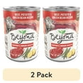 (2 pack) Purina Beyond Immune Health Wet Dog Food High Protein Ground
