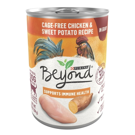 Purina Beyond Grain-Free Wet Dog Food in Gravy Soft Chicken & Sweet Potato, 12.5 oz Can