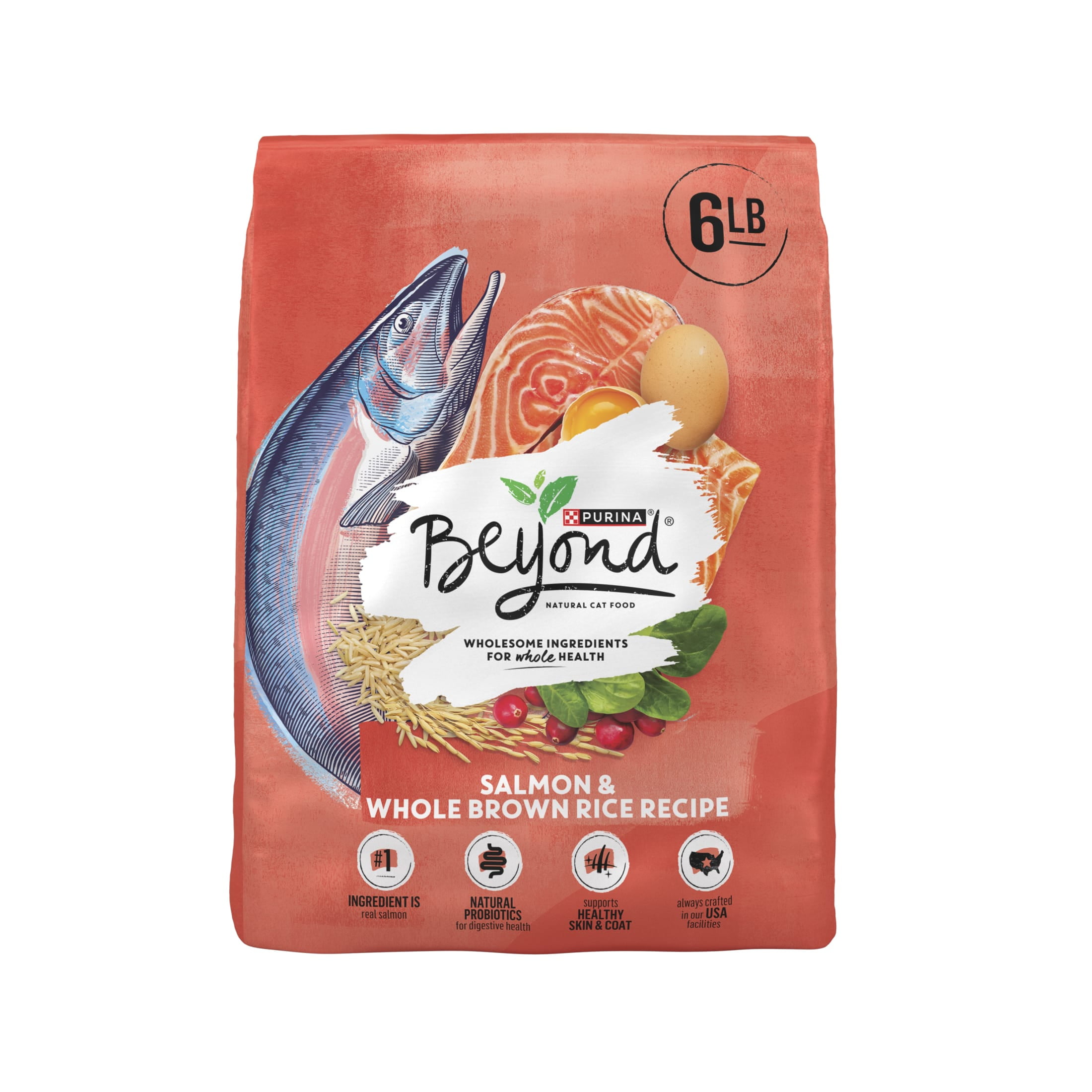Purina Beyond Natural Dry Cat Food for Healthy Skin and Coat, Salmon and Brown Rice, 6 lb Bag