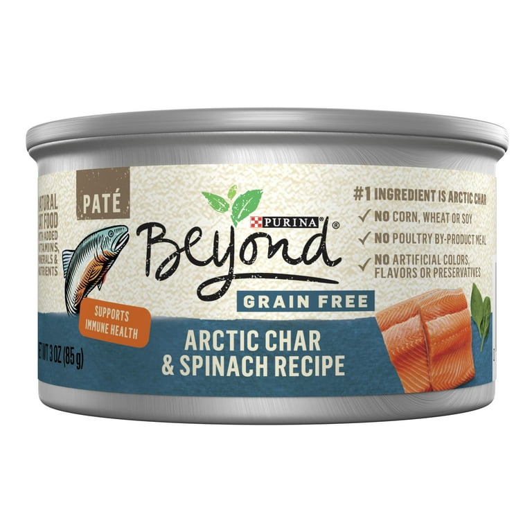 Purina beyond wet cat food walmart sale