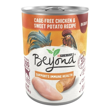 Purina Beyond Supprot Immune Health Wet Dog Food, 12.5 oz Cans (12 Pack)