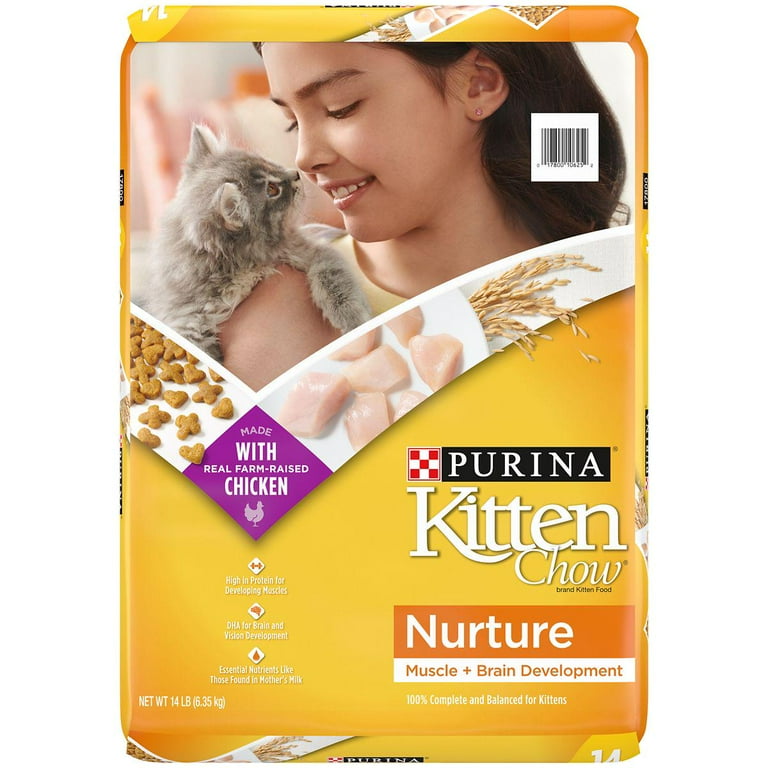 Best high protein kitten food online