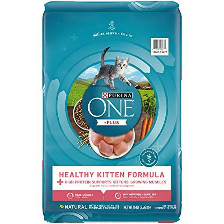 Iams kitten food walmart hot sale